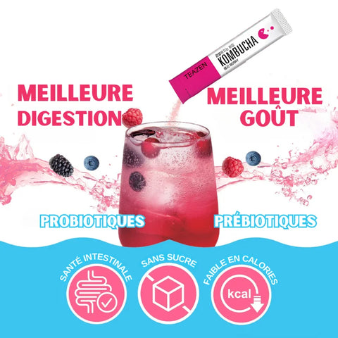 TEAZEN Kombucha Rode Bessen – 10 zakjes