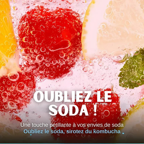 TEAZEN Kombucha Rode Bessen – 10 zakjes