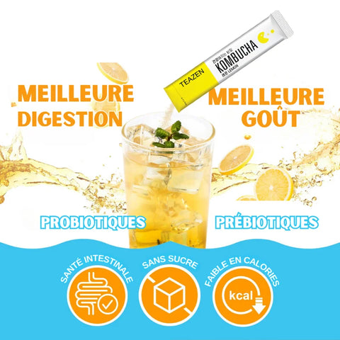 TEAZEN Classic Lemon Kombucha – 10 zakjes