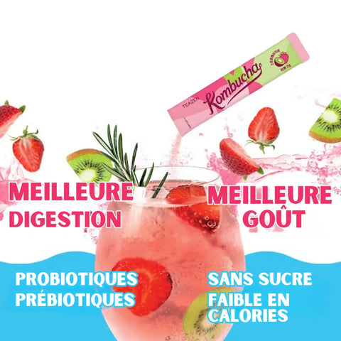 TEAZEN Kombucha Aardbei Kiwi – 10 sticks