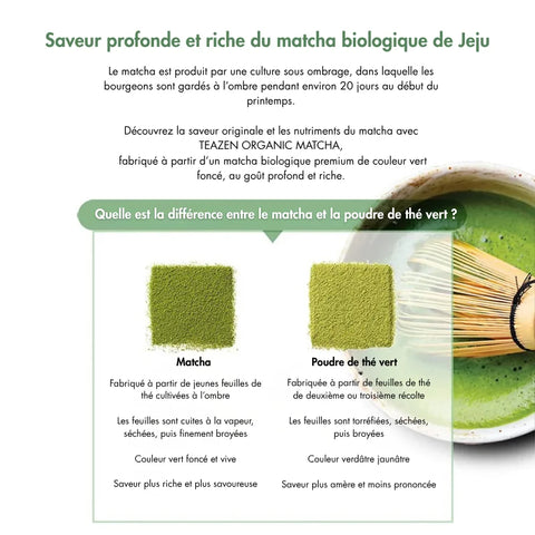 TEAZEN Matcha Premium – Groene thee van Jeju – 500 g