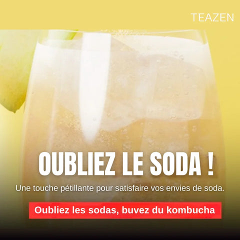 TEAZEN Appelazijn – Wellness &amp; Detox – 10 sticks